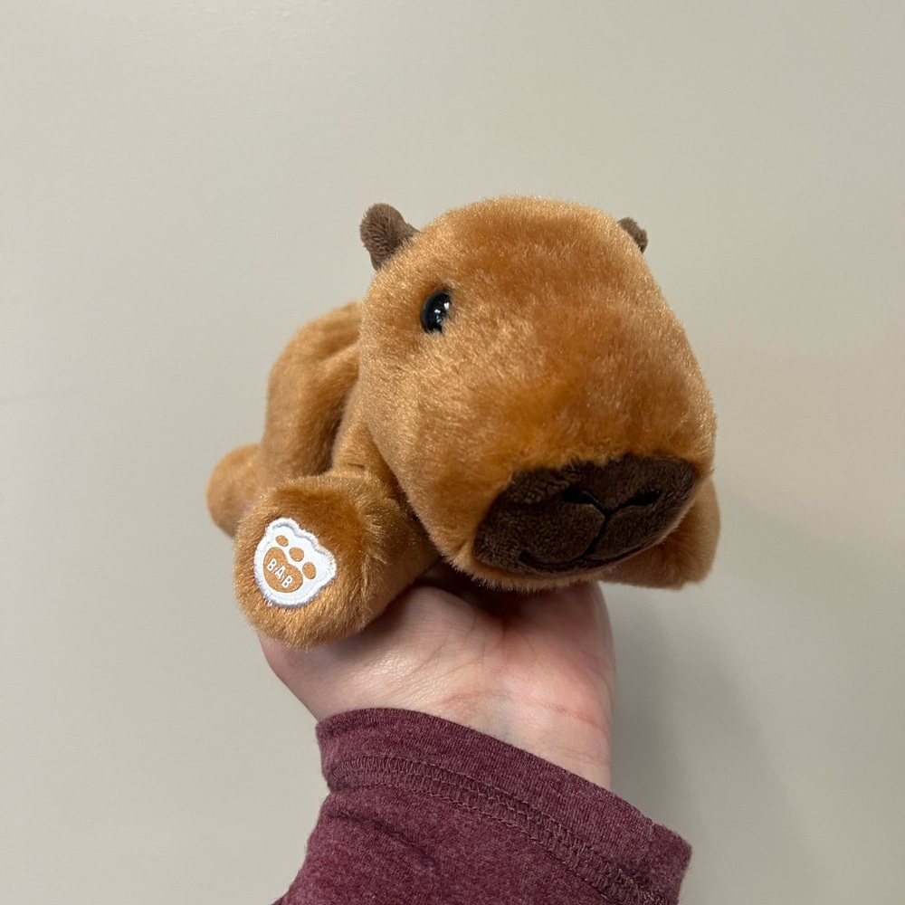 Build-A-Bear Capybara Set 🥰 - Picture 8 of 10